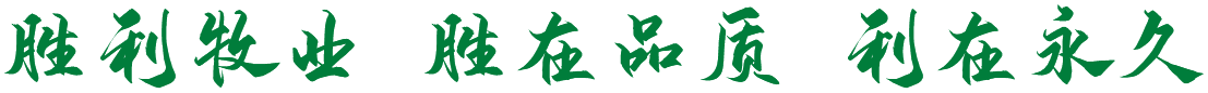 肉雞屠宰加工廠(chǎng)
